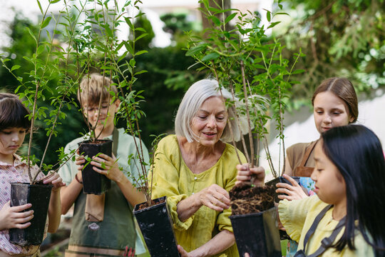 Kids learning about fruit tree seedling and fruit bushes, taking care of school garden during outdoor sustainable education, class in forest school. Concept of experiential learning and ecoliteracy.