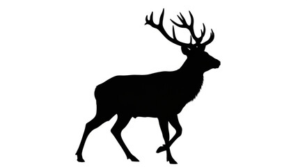 Obraz premium Silhouette of Deer with Antlers.