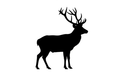 Obraz premium Silhouette of Deer with Antlers.