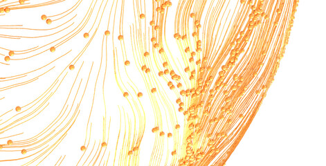 Dynamic abstract artwork with orange lines and spheres, representing movement, flow, and energy against a clean white b © vegefox.com