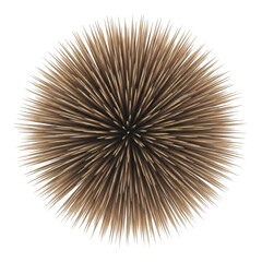 Fototapeta premium A brown sea urchin with long sharp spines isolated on transparent background