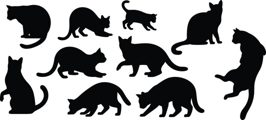 Collection of cat silhouettes in various poses isolated on white background, domestic feline pet vector illustration set for design use © Shariyar Pantho