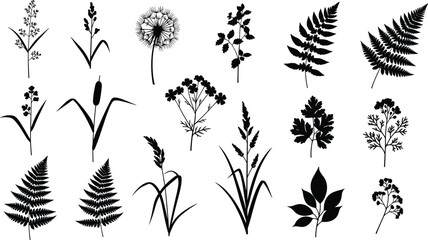 Black botanical silhouettes collection featuring fern leaves, dandelion, cattails and wildflowers isolated on white background, minimalist floral vector set for logo and print design © Arman's World
