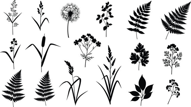 Black botanical silhouettes collection featuring fern leaves, dandelion, cattails and wildflowers isolated on white background, minimalist floral vector set for logo and print design