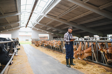 Farmer using tablet and monitoring cows in modern barn