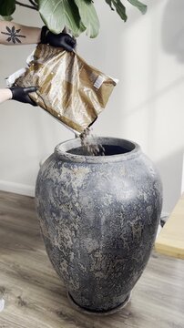 Pouring clay pebbles into plant pot for drainage, houseplant repotting process