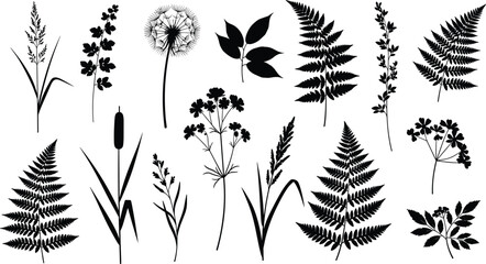 Black botanical silhouettes collection with fern leaves, dandelion, cattails and wildflowers isolated on white background, minimalist floral vector set for logo, print and decor design © Arman's World