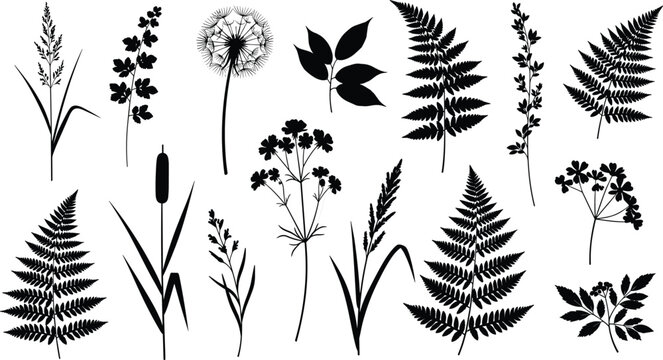 Black botanical silhouettes collection with fern leaves, dandelion, cattails and wildflowers isolated on white background, minimalist floral vector set for logo, print and decor design