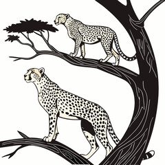 Two cheetahs standing on tree branches in black and white © MST RAMIJA