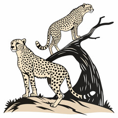 Two cheetahs standing on tree stump and branch spotted © MST RAMIJA