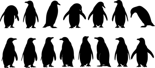 Silhouette of penguins standing in two rows © PIXAVIVE