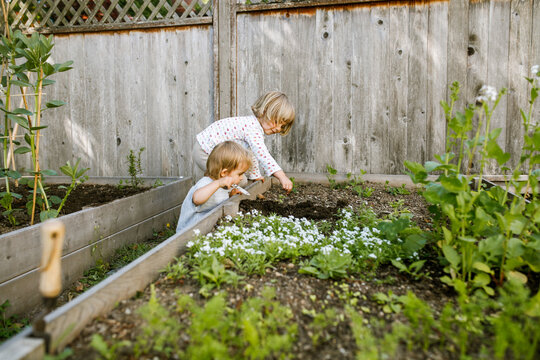 young girls playing in the dirt garden