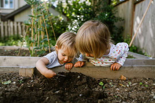 young girls playing in the dirt garden