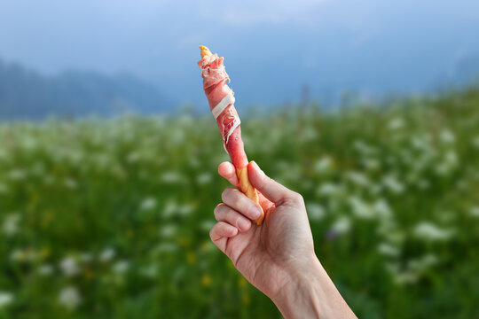 Detail of hand with breadstick and raw ham, alpine meadow background, mountain charcuterie excellence, local product tasting