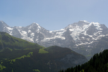 Fototapeta premium Snowcapped Swiss Alps above green summer hills in Berner Oberland, Switzerland