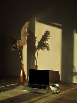 Minimal workspace with sunlight