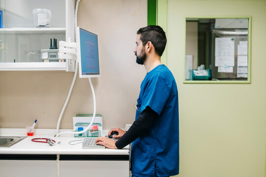 Veterinary staff working on computer in clinic