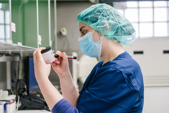 Veterinary staff labeling medical sample in clinic laboratory