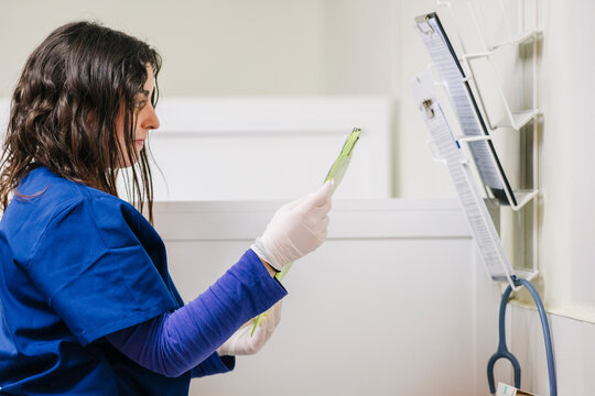Veterinary staff reviewing medical records in clinic