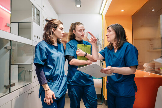 Veterinary professionals collaborating on animal healthcare in clinic