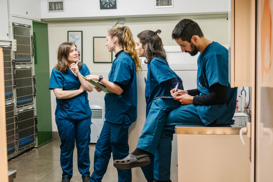 Veterinary staff collaborating and discussing patient care in clinic