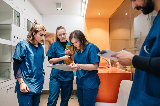 Veterinary staff collaborating on patient records in clinic