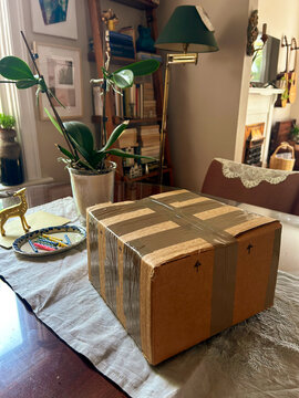 Package Sitting on Table Next to Plant and Craft Supplies