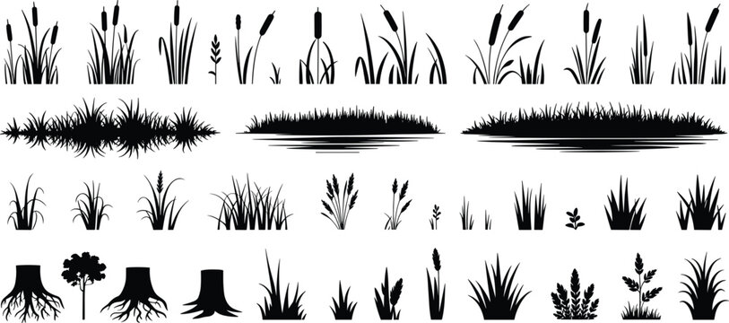 Grass, reed and pond silhouettes collection with cattails, bushes and tree stumps isolated on white background, black nature vector set for landscape design