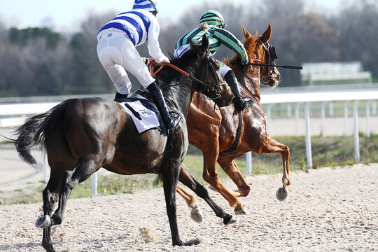 Carrera de caballos con jockey galopando para ganar sprint final en hip&oacute;dromo