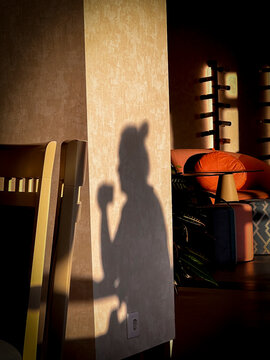 Shadow of a woman drinking cofee
