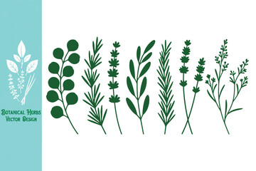 Assorted green herb silhouettes featuring rosemary, lavender, and eucalyptus. Minimalist botanical collection for aromatherapy, wellness, and spice labels. Vector illustration © Mst