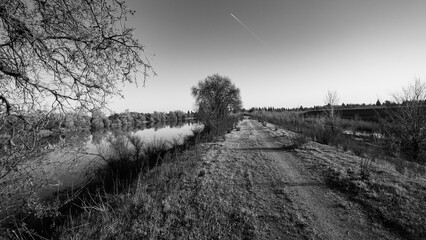 West Sacramento Levee Landscape in Black and White