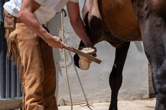 Cowboy Filing Wild Horse Hoof