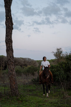 Cowboy Riding Mustang Through Forest At Dusk