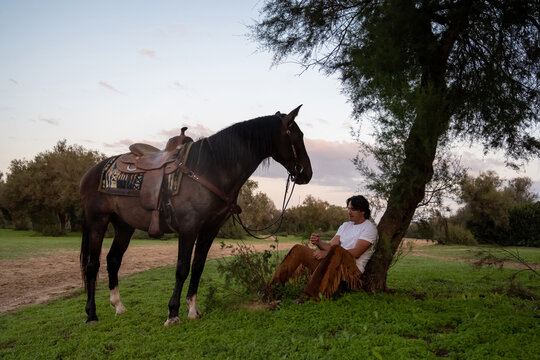 Cowboy Resting With Mustang Under Tree
