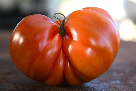 Heirloom tomato on a wooden background