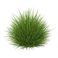Vibrant green grass mound isolated on transparent background