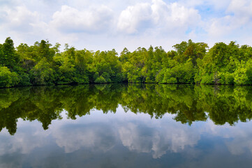 Obraz premium Serene River Landscape in Sri Lanka with Exotic Vegetation