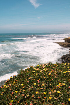 San Diego Coast Line