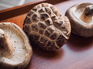 신선한 유기농 표고버섯, 요리재료