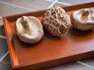 신선한 유기농 표고버섯, 요리재료