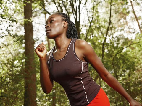 Woman Jogging in a Forest During Daylight Hours