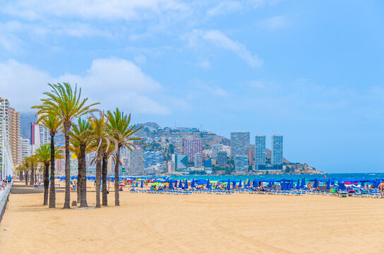 Levante sandy beach, Playa Platja De Llevant, embankment in Benidorm city centre, buildings on Costa Blanca coast Mediterranean Sea and Serra Gelada natural park mountain, Valencian Community, Spain