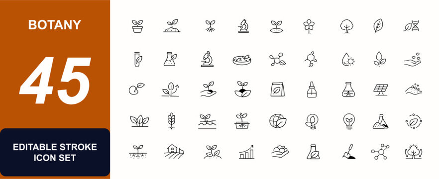 Botany web icons in line style. Photosynthesis, herbal leaf, biology flask, plant growth, organic soil, tree seed, eco system. Editable stroke. Vector illustration.