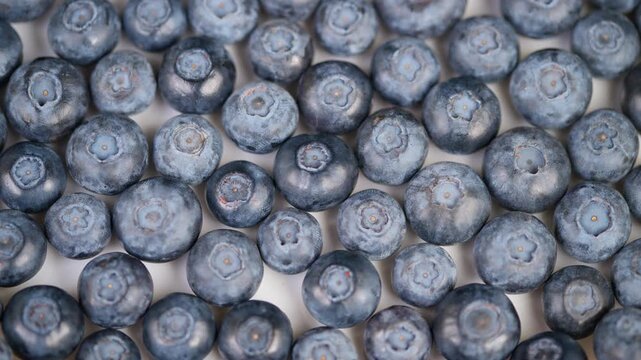 Fresh Blueberries for Packaging. Decorative Blueberries Showcasing Natural Freshness. An Overhead Arrangement Of Juicy Blueberries Emphasizing Their Plumpness and Soft Hues