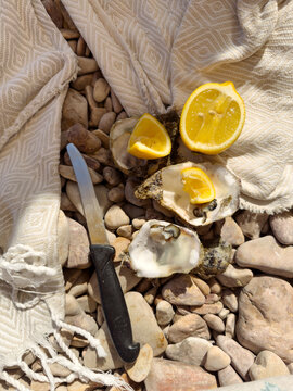 Open oysters on the beach