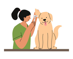 Veterinarian examining dog's ear during clinic visit. Professional pet healthcare and veterinary hospital service concept for advertising, websites, branding design. Flat vector illustration.