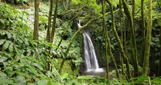 Salto do Prego waterfall in a lush green forest.