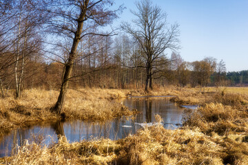 Wiosna wkracza w Dolinę Górnej Narwi, Podlasie, Polska © podlaski49