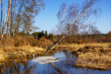 Wiosna wkracza w Dolinę Górnej Narwi, Podlasie, Polska © podlaski49